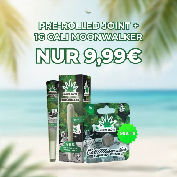 Bunte Blüte ANGEBOT