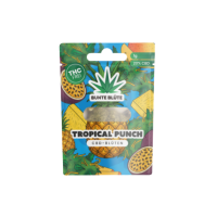 Bunte Blüte - Tropical Punch 1g
